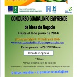 Guadalinfo Emprende  Trigueros.jpg