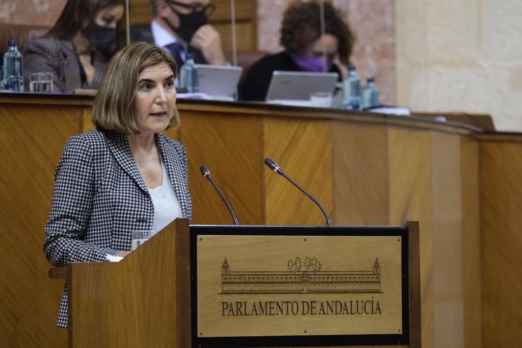 Rocío Blanco, consejera de Empleo, Formación y Trabajo Autónomo, durante su comparecencia en el Parlamento