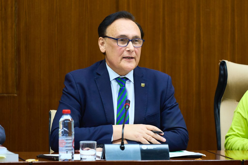 Gómez Villamandos durante su intervención en la comisión parlamentaria